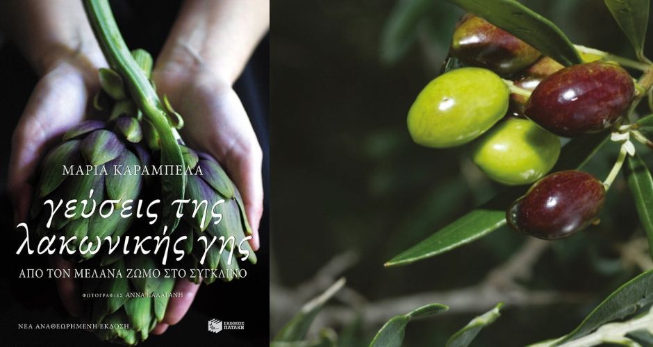 26 Νοεμβρίου: Παγκόσμια Ημέρα Ελιάς