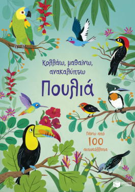 Πουλιά (Σειρά: Κολλάω, μαθαίνω, ανακαλύπτω)