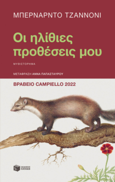 Οι ηλίθιες προθέσεις μου (e-book / epub)