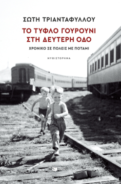 Το τυφλό γουρούνι στη Δεύτερη οδό (e-book / epub)