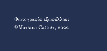Καρχαρίες και κοριοί. Σημειώσεις για την τρίτη δεκαετία του 21ου αιώνα