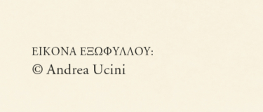 Τα περιθώρια και η υπαγόρευση. Για την απόλαυση της ανάγνωσης και της γραφής