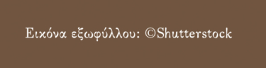 Η φυγή