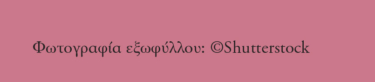 Το μενού του έρωτα