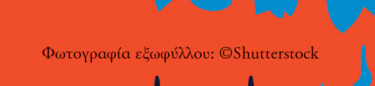 Η ευτυχία του λύκου