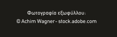 Η χώρα των χαμένων θεών