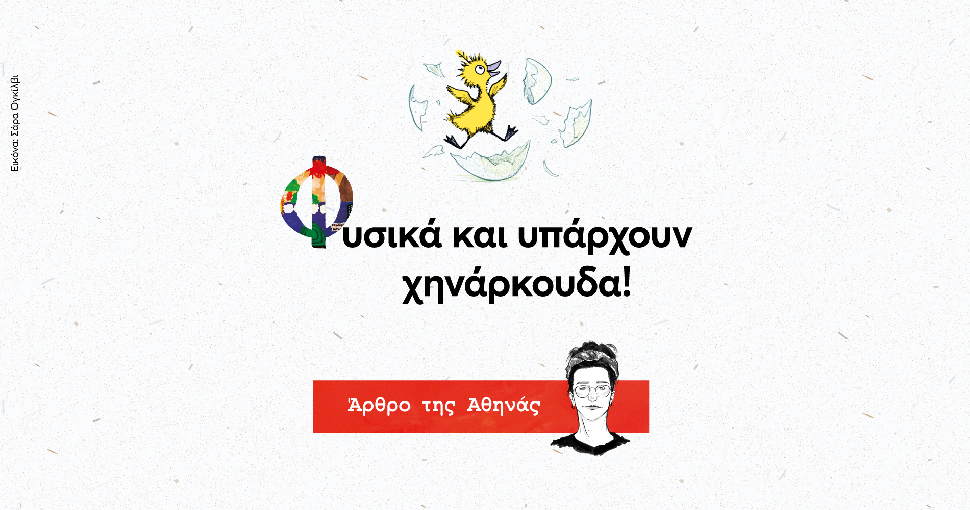 Φυσικά και υπάρχουν χηνάρκουδα!