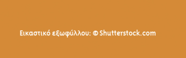 Αρχαία καλλιέργεια
