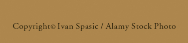 Λεϋλάν, που θα πει οφθαλμαπάτη
