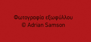 Η ανεξαρτησία