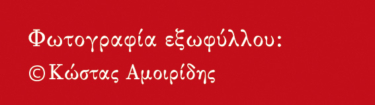 Γιάννης Μπουτάρης: Η πολιτική αλλιώς