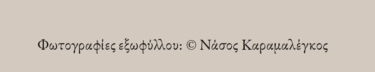 Από μένα αυτά…
