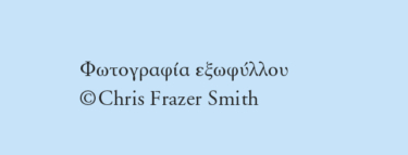 Εξιλέωση (νέα έκδοση)