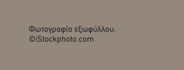 Ερευνητικές και διδακτικές προσεγγίσεις για τις Φυσικές Επιστήμες στην Προσχολική Εκπαίδευση