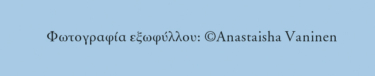 Κεντούκι