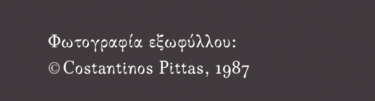 Καταγωγή ή οι ιστορίες των άλλων