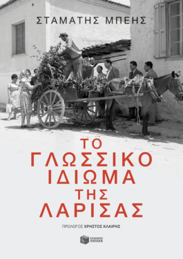 Το γλωσσικό ιδίωμα της Λάρισας (e-book / epub)