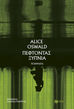 Πέφτοντας ξύπνια (e-book / epub)