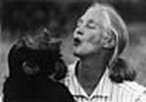 Jane Goodall