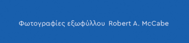 Η Ελλάδα μετά τον πόλεμο. Τα χρόνια της ελπίδας