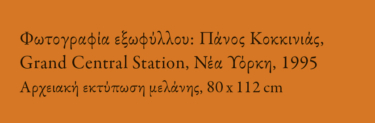 Καμία στεριά στον ορίζοντα (δίγλωσση έκδοση)