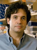 Rudolph E. Tanzi